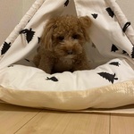 mutsumiの旅行プロフィール