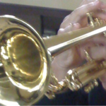 masawebの旅行プロフィール