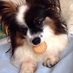 Hiro-kunの旅行プロフィール