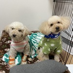 さくらの旅行プロフィール