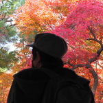 たろたろの旅行プロフィール