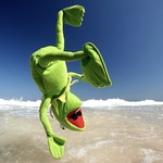 たけぼ～ずの旅行プロフィール