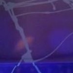 jorkmdの旅行プロフィール