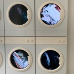 やーの旅行プロフィール