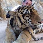 Nakashimaの旅行プロフィール