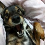 siipotteryの旅行プロフィール