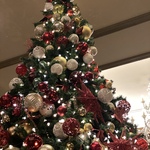 MIN_TRIPの旅行プロフィール