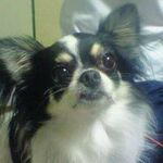 矢村里美の旅行プロフィール