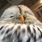 ymchan4の旅行プロフィール