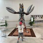 有馬 幸一の旅行プロフィール