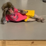 真角小次郎の旅行プロフィール