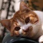 若山裕二の旅行プロフィール