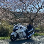 yossyの旅行プロフィール