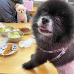 たーの旅行プロフィール