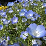 　もももももの旅行プロフィール