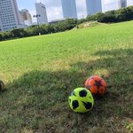 mie70241028の旅行プロフィール