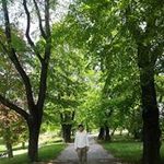 阿部 貴大の旅行プロフィール