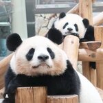 chikamaronSの旅行プロフィール