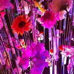 CIAの旅行プロフィール