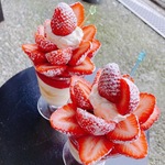 まきんの旅行プロフィール