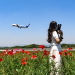 Asamiの旅行プロフィール