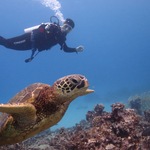 といっちの旅行プロフィール