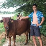 Taiの旅行プロフィール