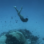 Saeno Antonatosの旅行プロフィール