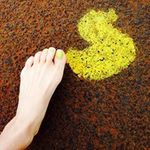 大島 由季の旅行プロフィール