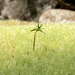 あいみーの旅行プロフィール