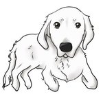 whitedog_codeの旅行プロフィール