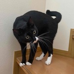 ちあっきーの旅行プロフィール