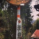 酒見 大輔の旅行プロフィール