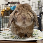 ちょくぢん♪の旅行プロフィール