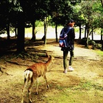 江睿哲の旅行プロフィール