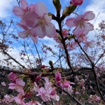 ＭＪの旅行プロフィール