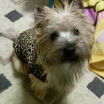 natsunatsu081の旅行プロフィール