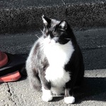 じゅんの旅行プロフィール