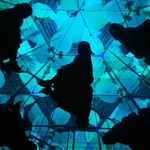 えだこの旅行プロフィール