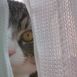 zzw30makiの旅行プロフィール