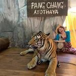 宮崎 ひとみの旅行プロフィール