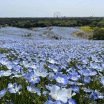 madokaの旅行プロフィール