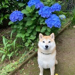 taraoの旅行プロフィール