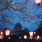 lilyの旅行プロフィール