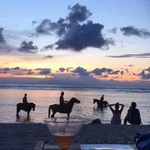 akiの旅行プロフィール
