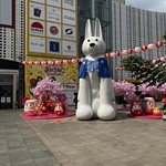 選手の旅行プロフィール