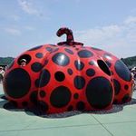 野水 めぐみの旅行プロフィール