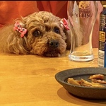 リッキー＆モコの旅行プロフィール