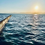 MNHSの旅行プロフィール