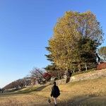 ねの旅行プロフィール